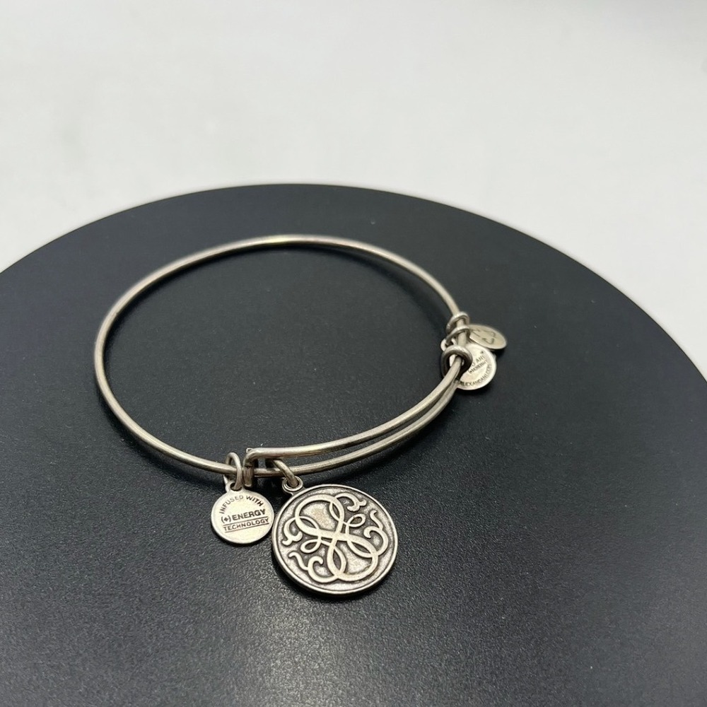 Alex and Ani Path of Life II Infinity Knot ‎ Dangle Charm Bangle Bracelet